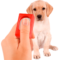 clicker1